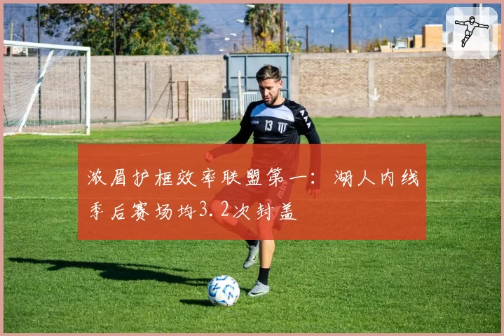 浓眉护框效率联盟第一：湖人内线季后赛场均3.2次封盖