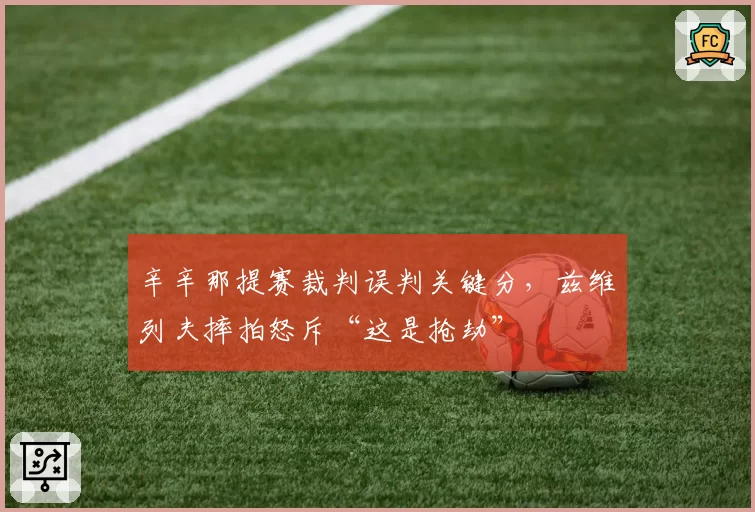 辛辛那提赛裁判误判关键分，兹维列夫摔拍怒斥“这是抢劫”